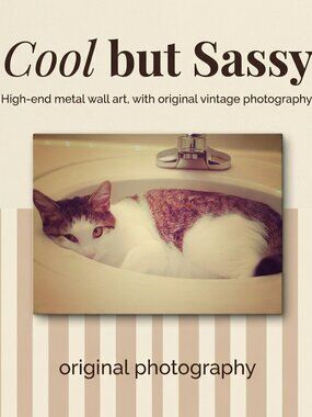 Cat Metal Wall Art Original Photography Sassy Bathroom Decor